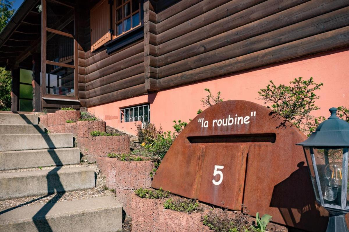 Bergchalet La Roubine Willingen Neerdar Exterior photo